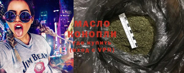 mix Богородицк